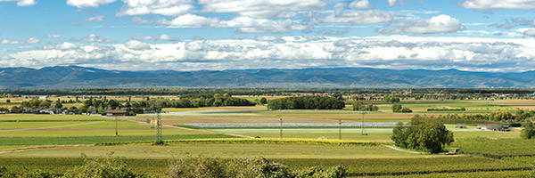 Wein Erlebnispfad in Bad Krozingen